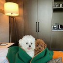 5월의 숱한 낮과 밤