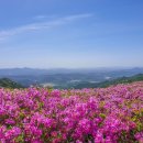 제634차 경남 합천 황매산 100대 명산 철쭉꽃산행 (26. 5. 5)안내 이미지