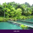 오엔스테이 | 강릉 풀빌라 오엔스테이에서의 특별한 여유로운 하루 경험해보기