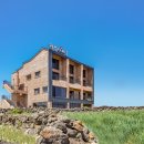 월정씨하루 이미지