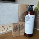 아침을 깨우는 아로마 테라피 이미지