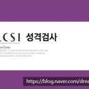 림스 LCSI (Lim&#39;s Character Style Inventory) 성격검사 후기