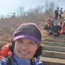 봄마중(2월에는) 이미지