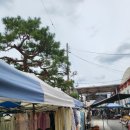 강진-9 | (강진반값여행)강진 오감통시장 장날(4, 9일)에 들러 야무지게 포장해 온 솔직 먹방 후기