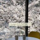 오브더데이직지점 이미지