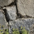 닥터황여성의원 이미지