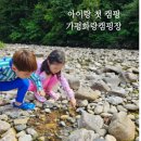 화랑동물병원 | 도다네 캠핑 1. 가평화랑캠핑장 명지계곡 방방이 토끼먹이주기