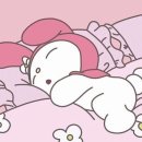 밤밤 이미지