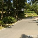 비슬산휴양림캠핑장관리사무소 이미지