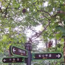 새솔학교 이미지