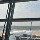 LH713, LH712 루프트한자 인천-프랑크푸르트 비즈니스 탑승후기