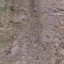 수원-1642 이미지