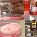 3D&BIO연구소