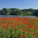 공주하숙마을1 이미지