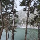 호수가 보이는집 | 희리산 해송자연휴양림 참나무집 후기｜연립동 2층에서 바로 보이는 호수뷰