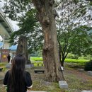 마티고개 화장실 이미지