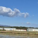 강릉뚜벅이 제16차 여행후기 이미지