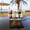 표선백사로 | 바다멍 하기 좋은 제주동쪽카페 표선하다