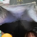 민지약국 이미지