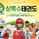 상록수태권도 이미지