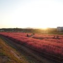 파스타찹찹 이미지