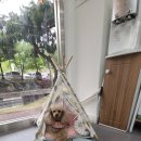 개스타 살롱 이미지