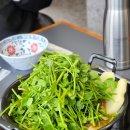 창원 샤브샤브맛집 안민옥 미나리버섯 무한리필