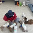 눈보뛰 프리미엄 네이버블로그