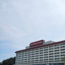 동백로 67 | 부산의 근본 있는 웨스틴 조선 호텔 뷔페, 까밀리아 뷔페 평일 디너 내돈내산 후기