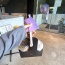 폴바셋평택소사DT점 | 경기 평택 폴 바셋 평택 소사 DT점 / 평택폴바셋 폴바셋커피추천 커피맛집추천