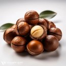 제주동물메디컬센터 이미지