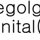 자주고름 이미지