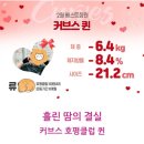 커브스호평클럽 이미지