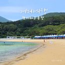 명사초등학교 | 거제 반려견 해수욕장 명사해수욕장 댕수욕장 운영중