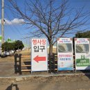 자연알로(서천) | 서천 동백꽃 주꾸미축제 다녀왔어요 실제후기