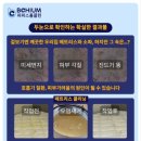 파파스 클린케어