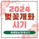 시민공원3_CCTV-P12-054_#1 | 2024 벚꽃 개화시기 2024년 벚꽃 축제(실시간 cctv 현황보기 등)