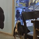 노란지붕 포차 이미지
