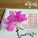 나주점핑&체온다이어트