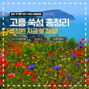 고흥숲속의바다 | 2026 고흥 쑥섬 수국 개화상황 + 별정원 지금 꽃 절정 | 배편·주차·포토존·동선꿀팁 완벽정리
