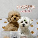 와락펫푸드 이미지