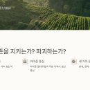 아마존커피