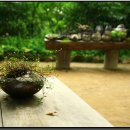 풍경찻집 이미지