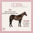에이스승마랜드 네이버블로그