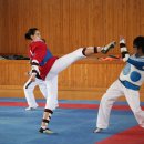 성화태권도 이미지