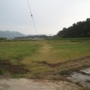 뽕이랑 귀농이랑 이미지