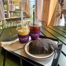 세븐일레븐 화정달빛마을점 | 화정 덕양구 충장로 애견동반카페 모노카페 추천