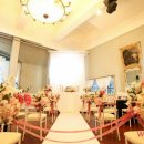 더그레이스2 이미지