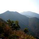 화개농장 이미지