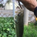 월아슈퍼 이미지